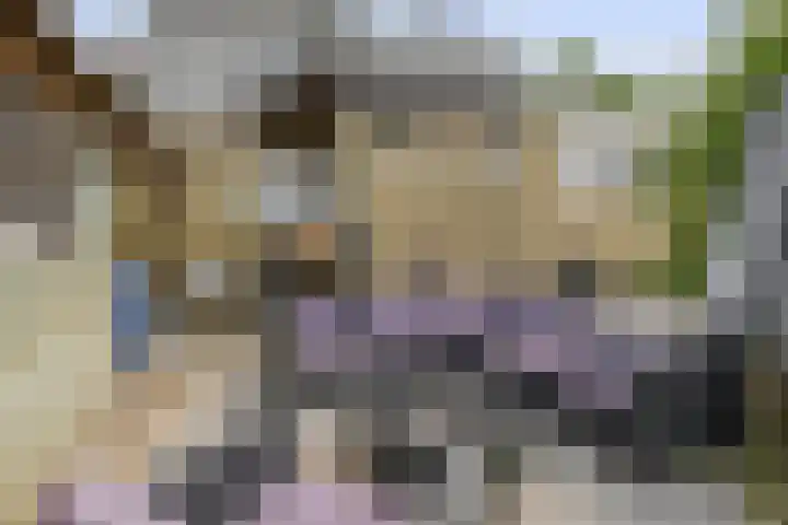 Middelblok 16 Gouderak thumbnail 20