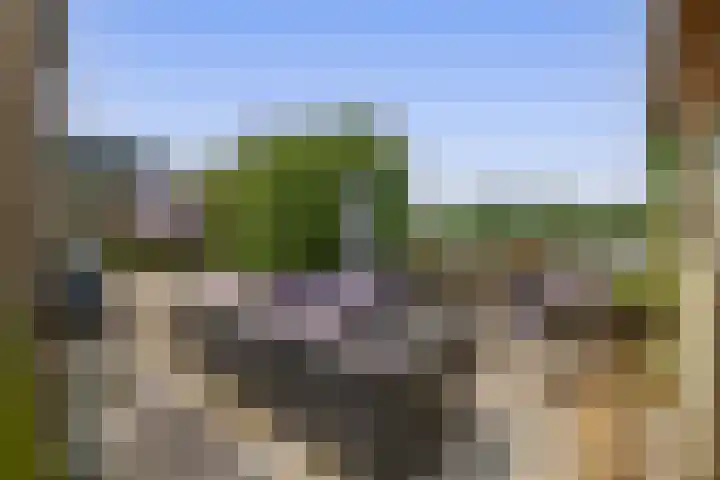 Middelblok 16 Gouderak thumbnail 5