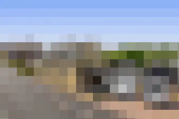 Middelblok 16 Gouderak thumbnail 6