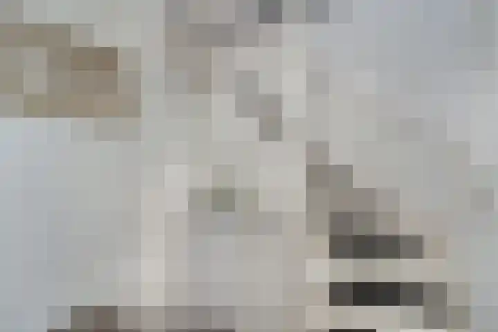 Middelblok 19 Den Dungen thumbnail 17
