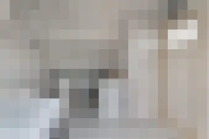 Middelblok 19 Den Dungen thumbnail 18