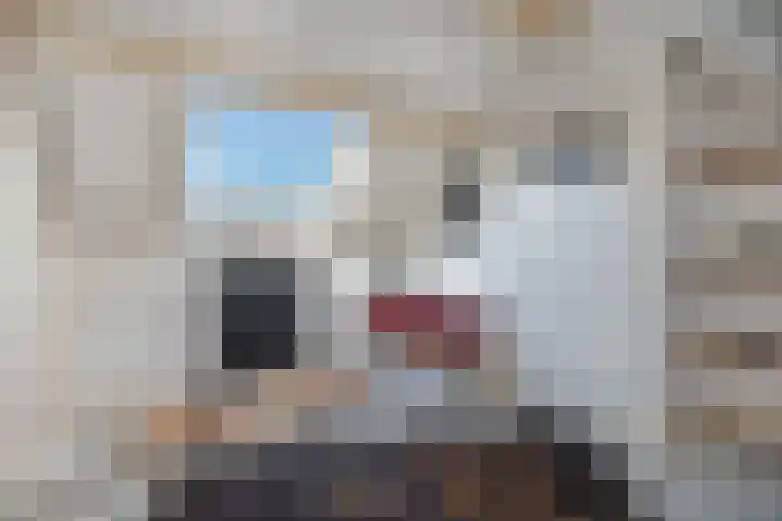 Middelblok 19 Den Dungen thumbnail 19