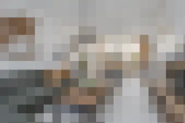 Middelblok 19 Den Dungen thumbnail 4