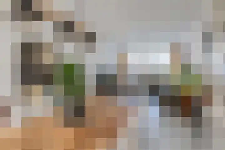 Middelblok 19 Den Dungen thumbnail 6
