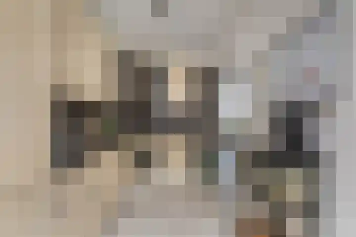 Middelblok 19 Den Dungen thumbnail 9