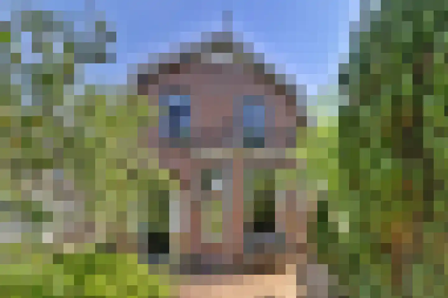 Middelblok 43 Gouderak