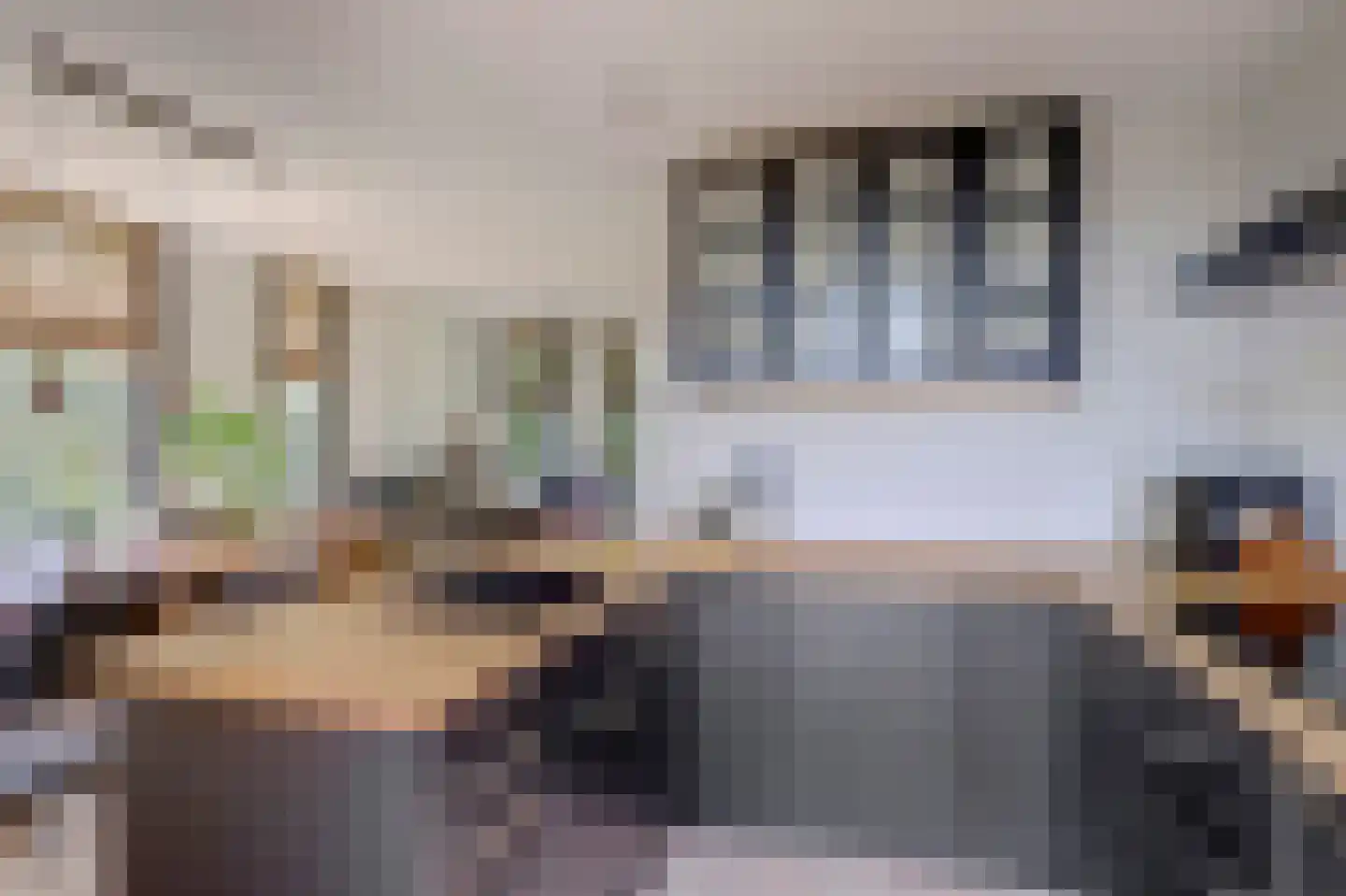 Middelblok 43 Gouderak thumbnail 11
