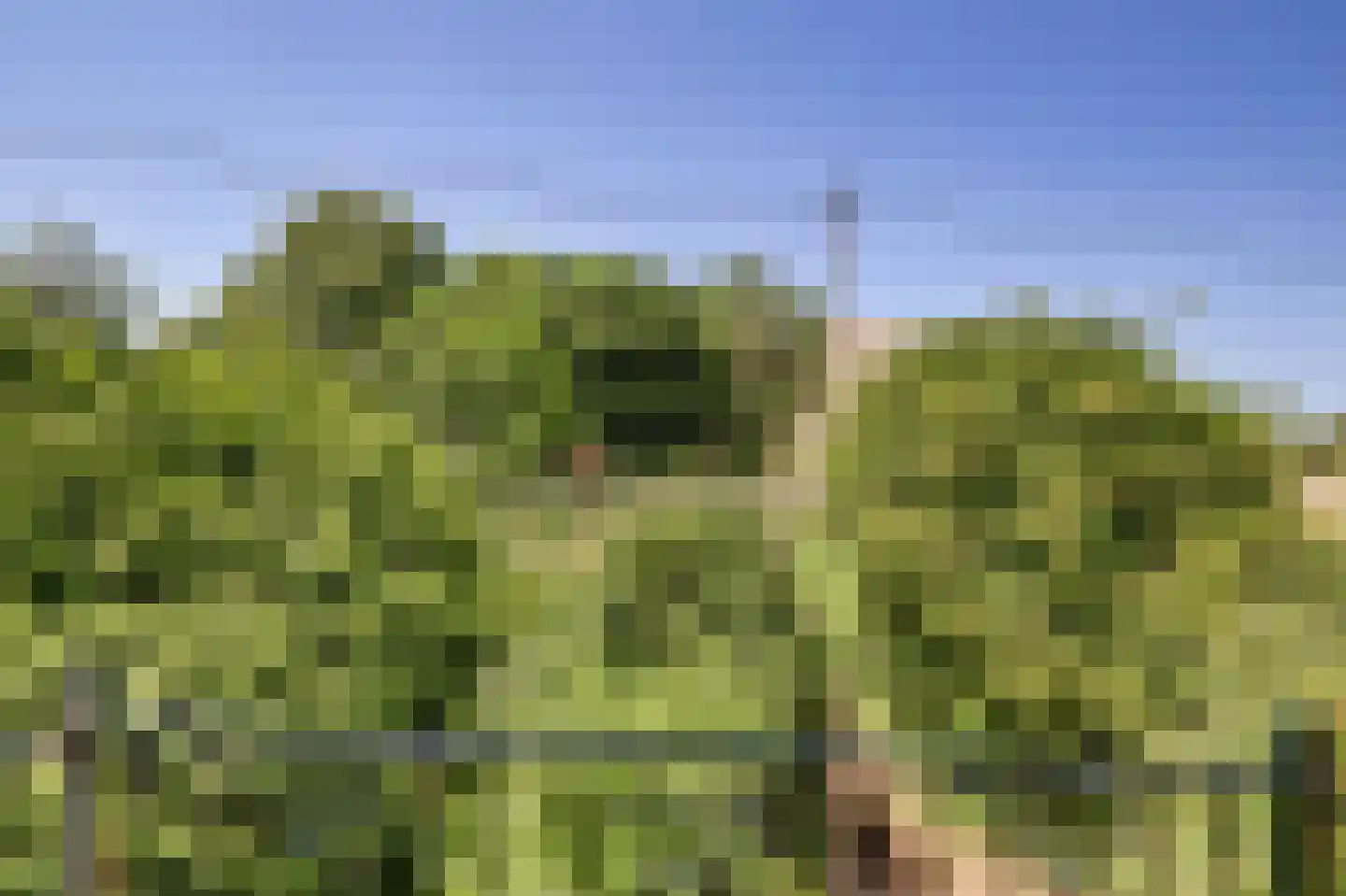 Middelblok 43 Gouderak thumbnail 22