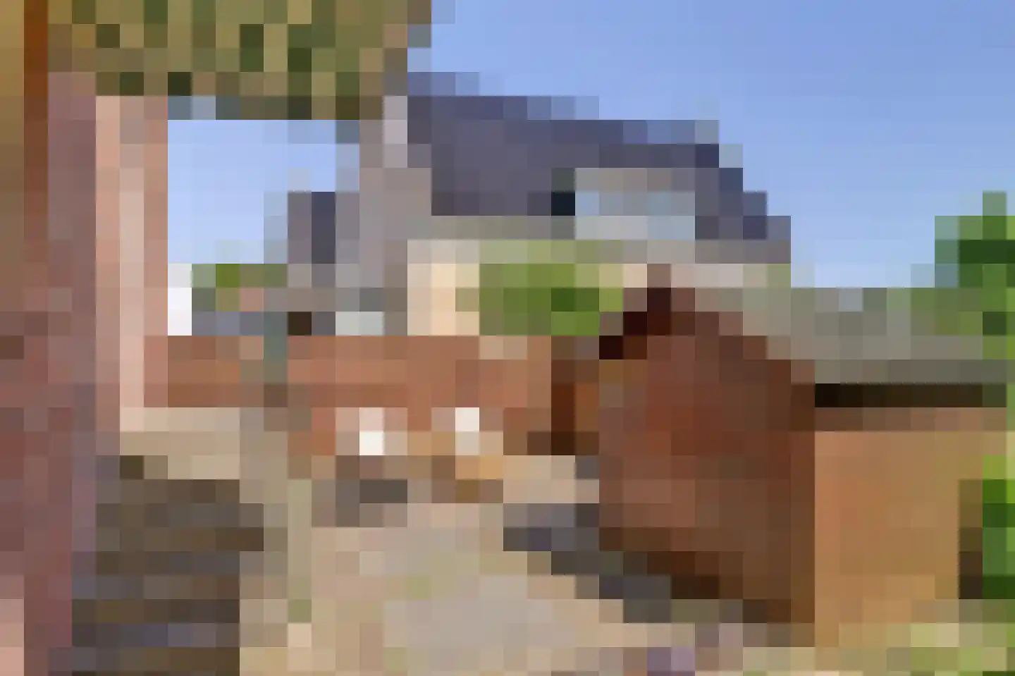 Middelblok 43 Gouderak thumbnail 28