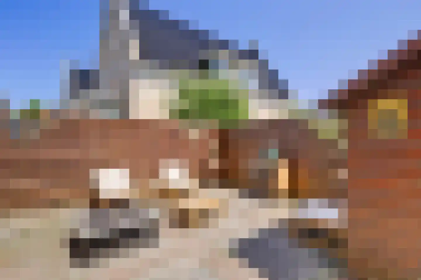 Middelblok 43 Gouderak foto 3