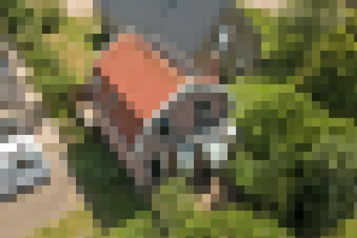 Middelblok 43 Gouderak thumbnail 32