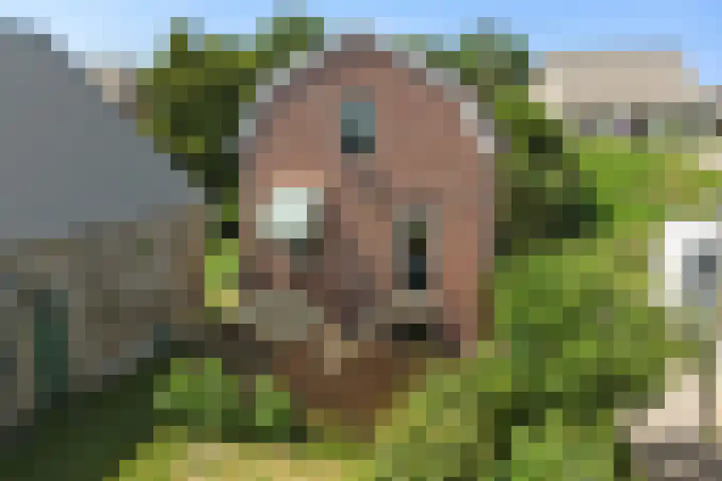 Middelblok 43 Gouderak thumbnail 34