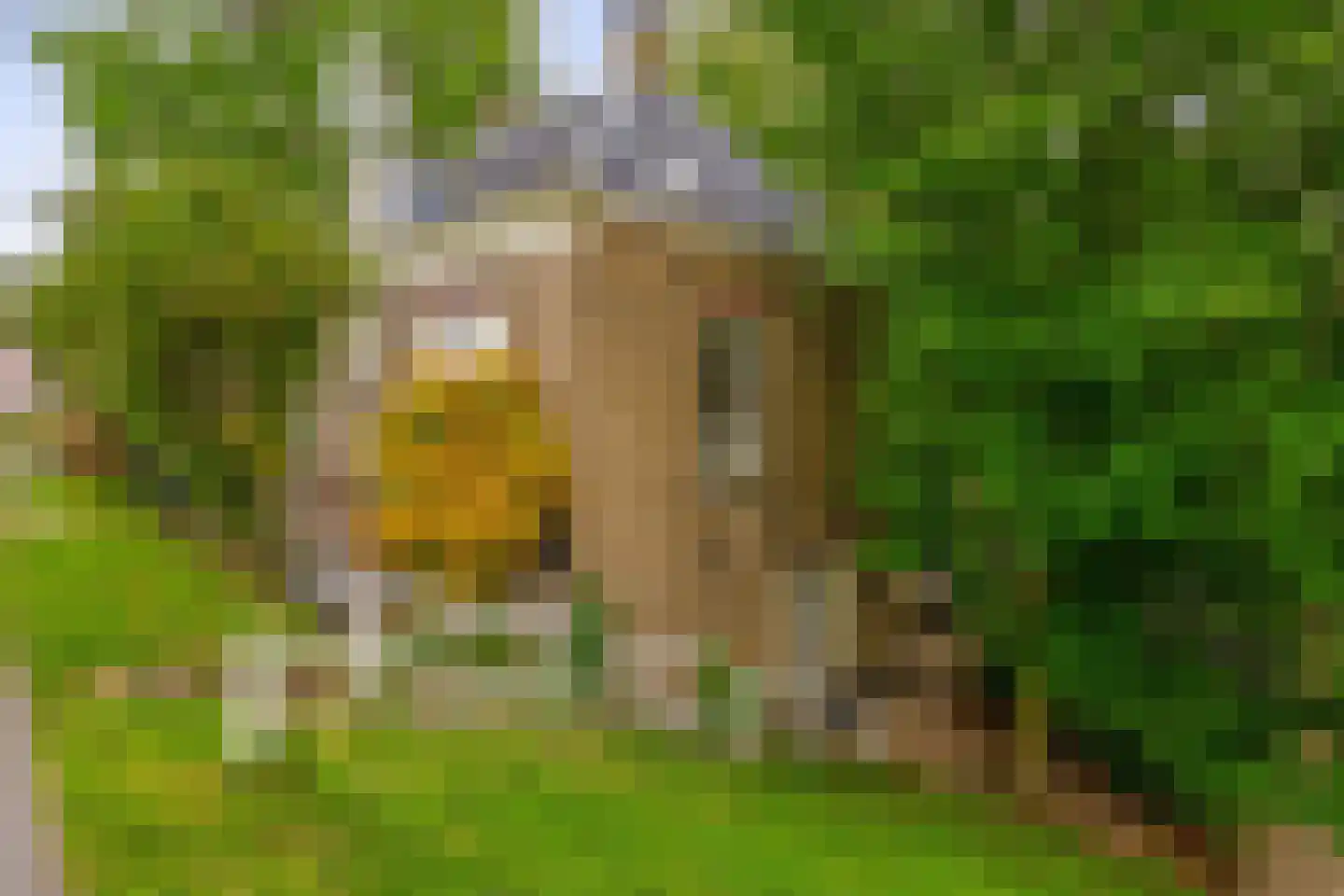 Middelblok 7 Gouderak thumbnail 10