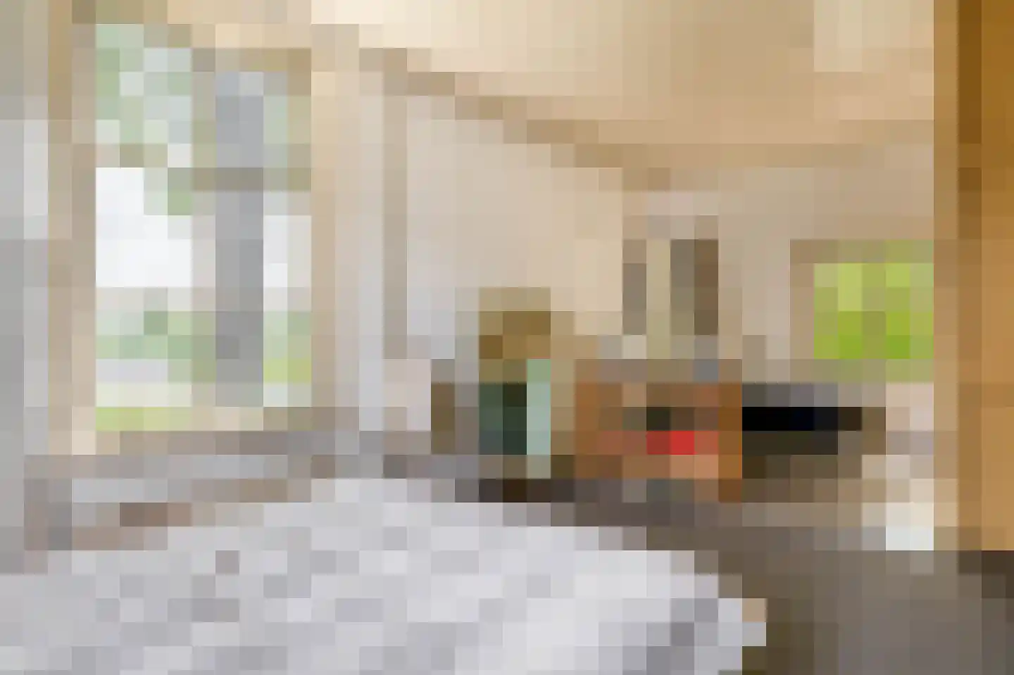Middelblok 7 Gouderak thumbnail 18