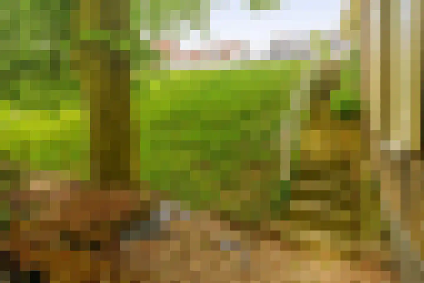 Middelblok 7 Gouderak thumbnail 24