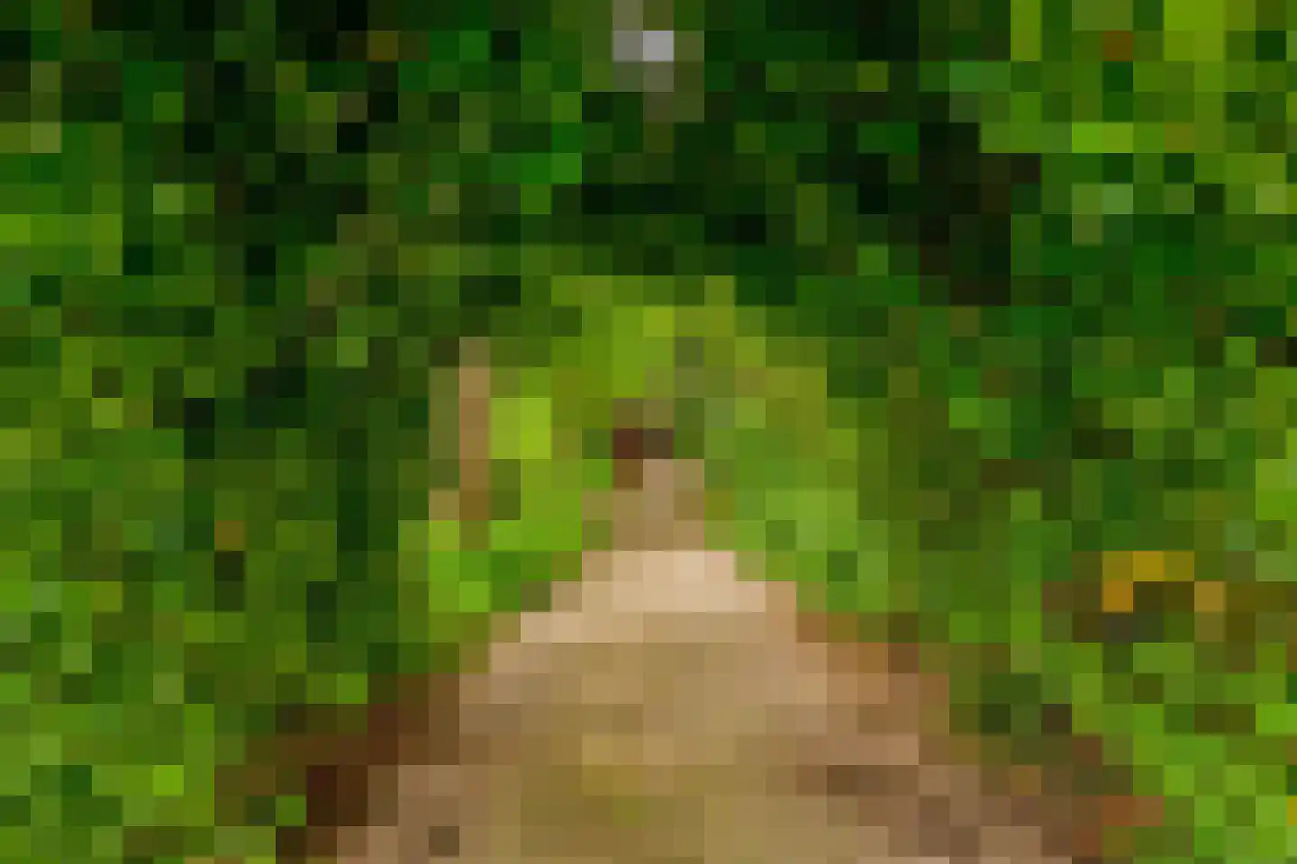Middelblok 7 Gouderak thumbnail 26