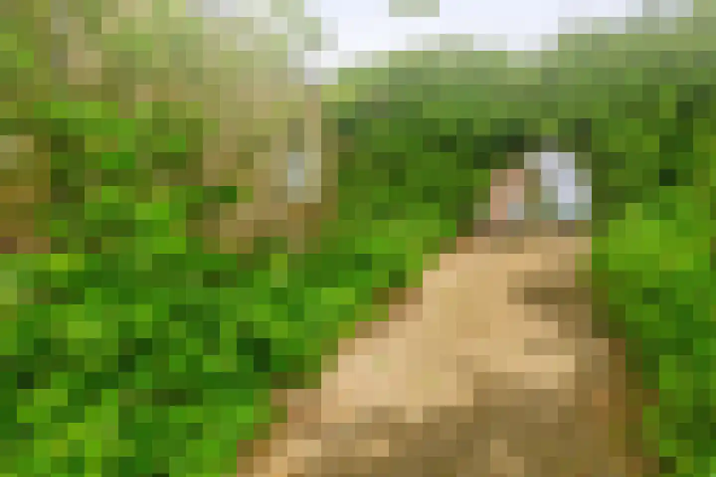 Middelblok 7 Gouderak thumbnail 27
