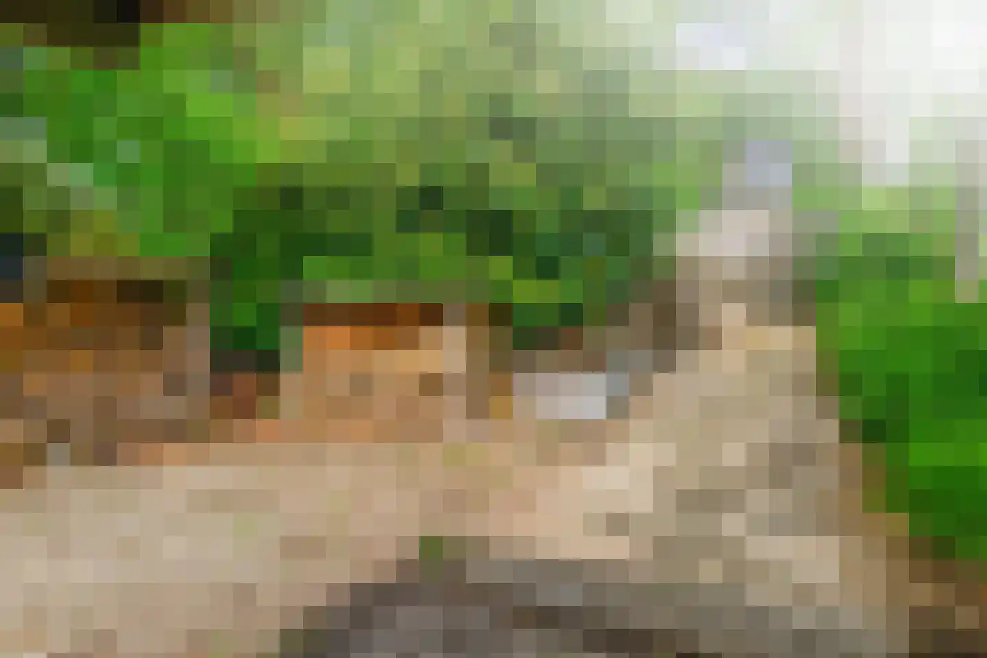Middelblok 7 Gouderak thumbnail 29