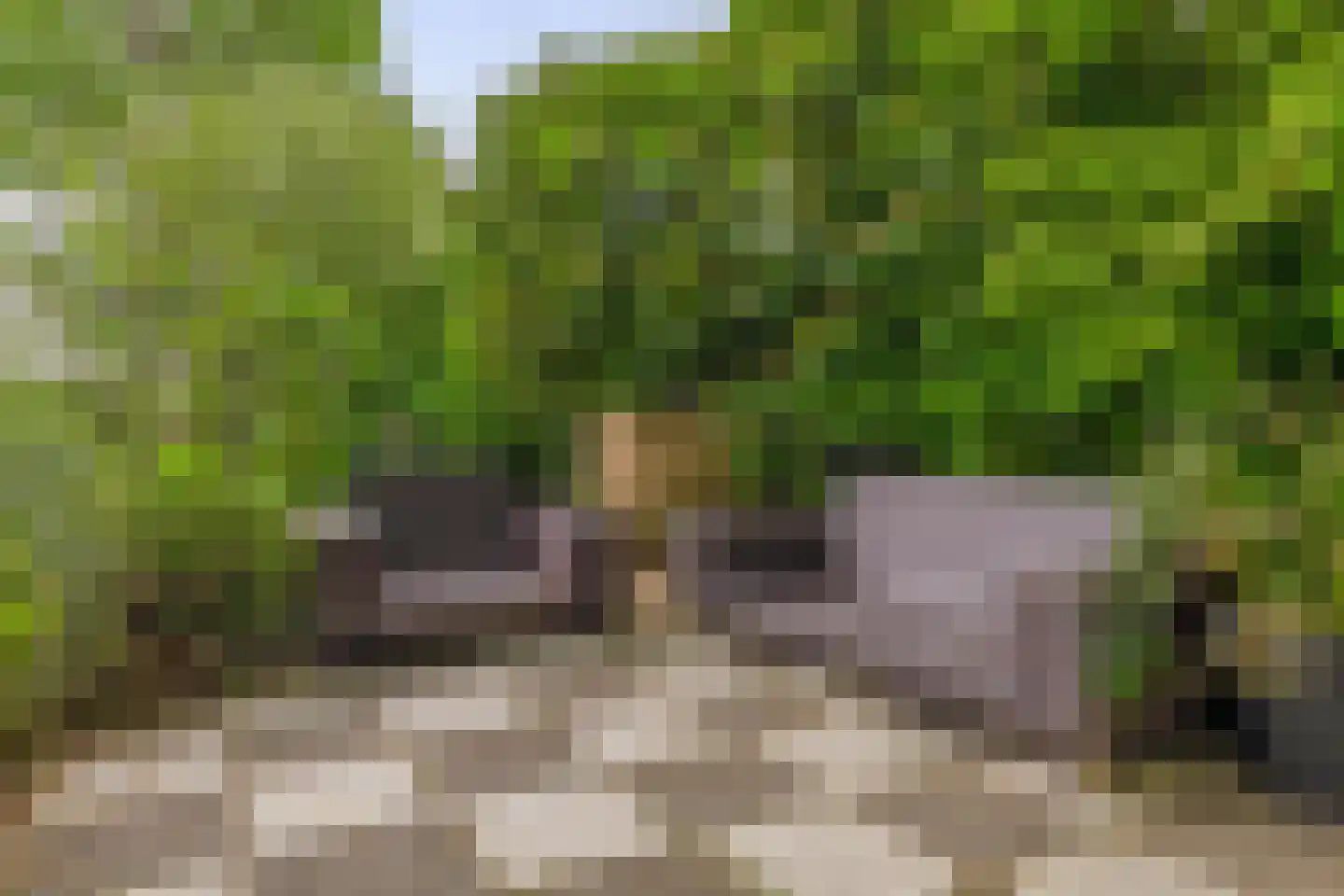 Middelblok 7 Gouderak thumbnail 30
