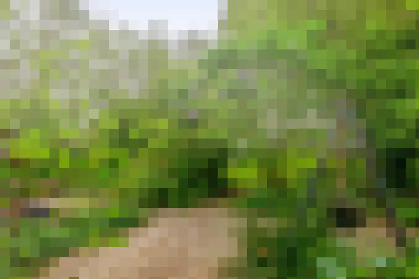 Middelblok 7 Gouderak thumbnail 31