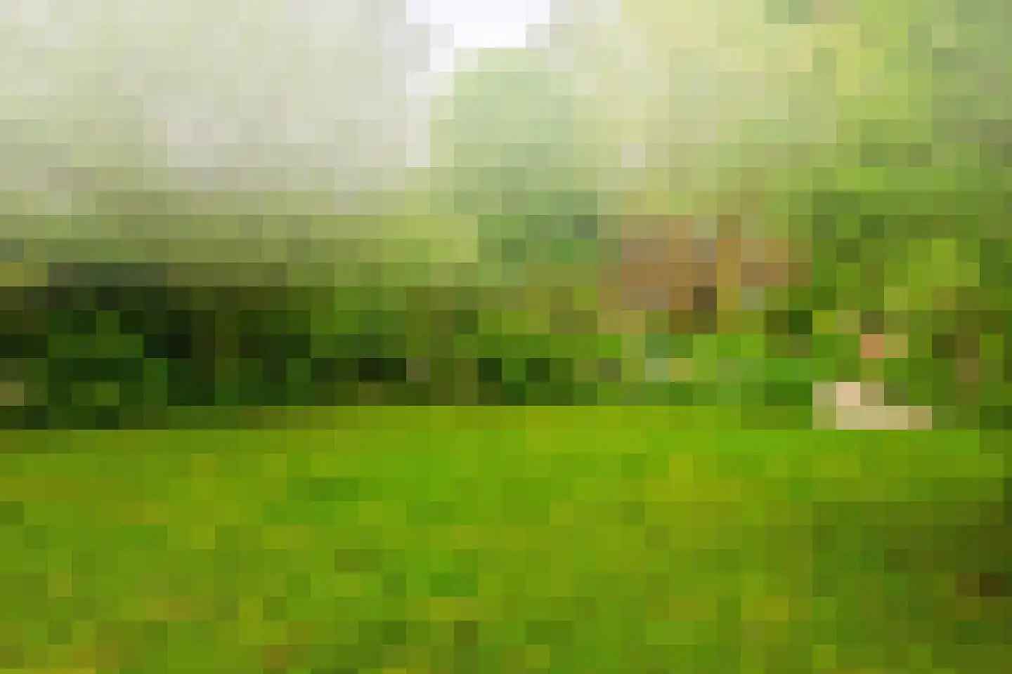 Middelblok 7 Gouderak thumbnail 32