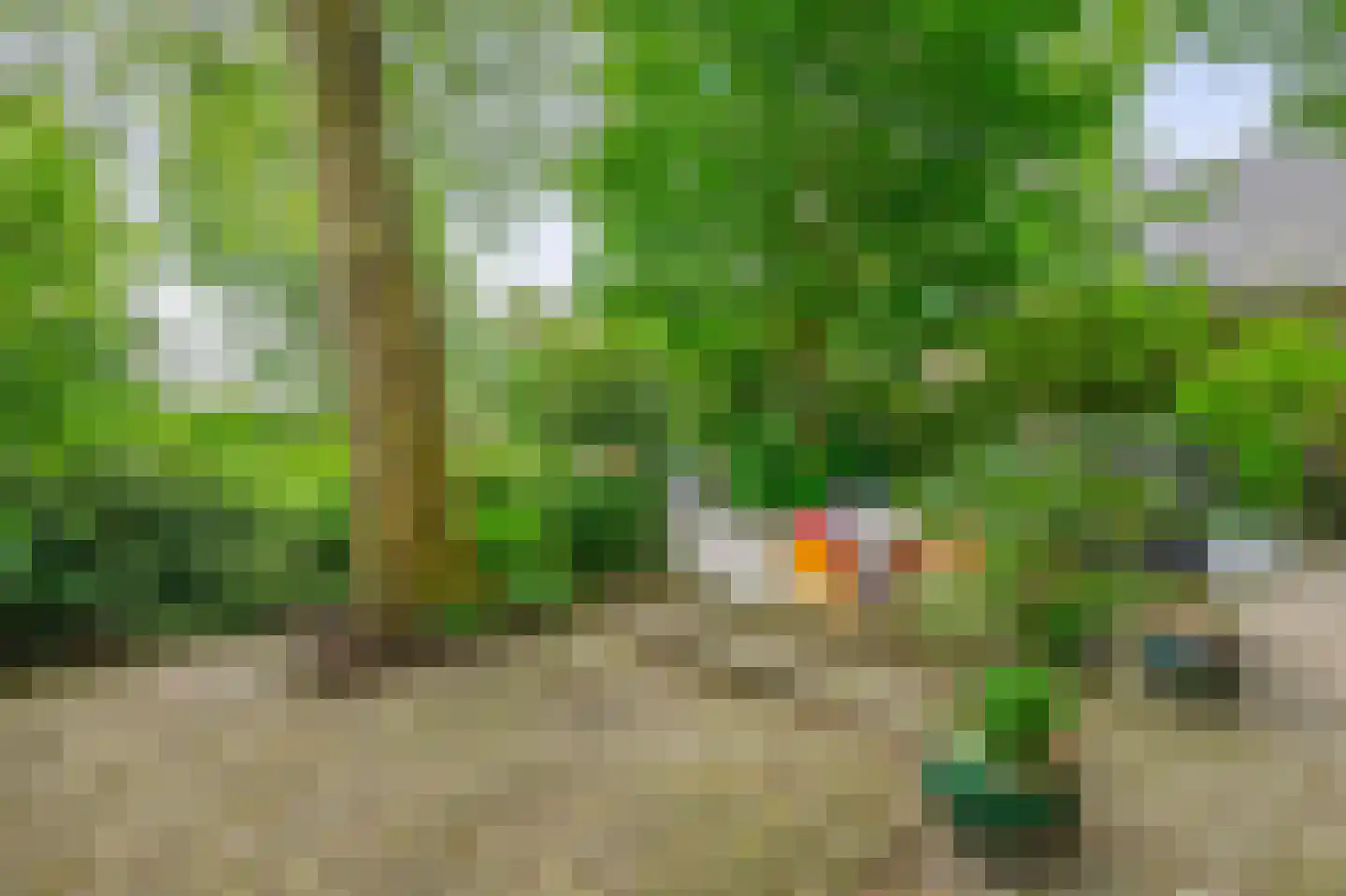 Middelblok 7 Gouderak thumbnail 34