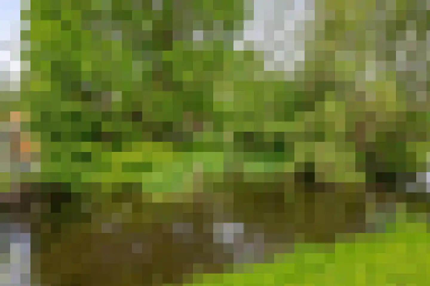 Middelblok 7 Gouderak thumbnail 36