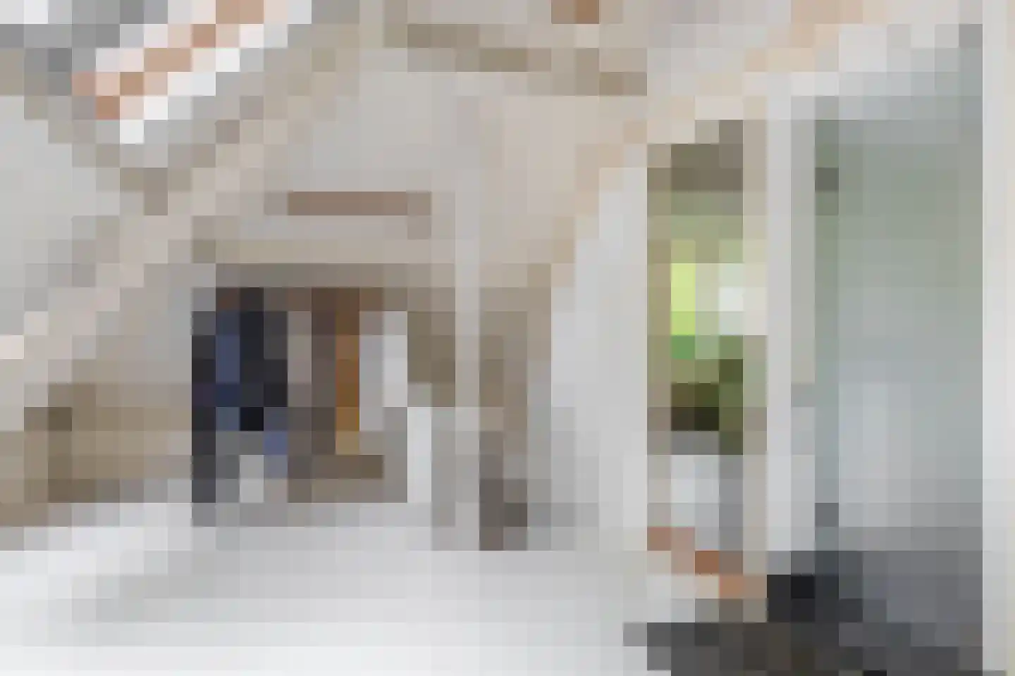 Middelblok 7 Gouderak thumbnail 44