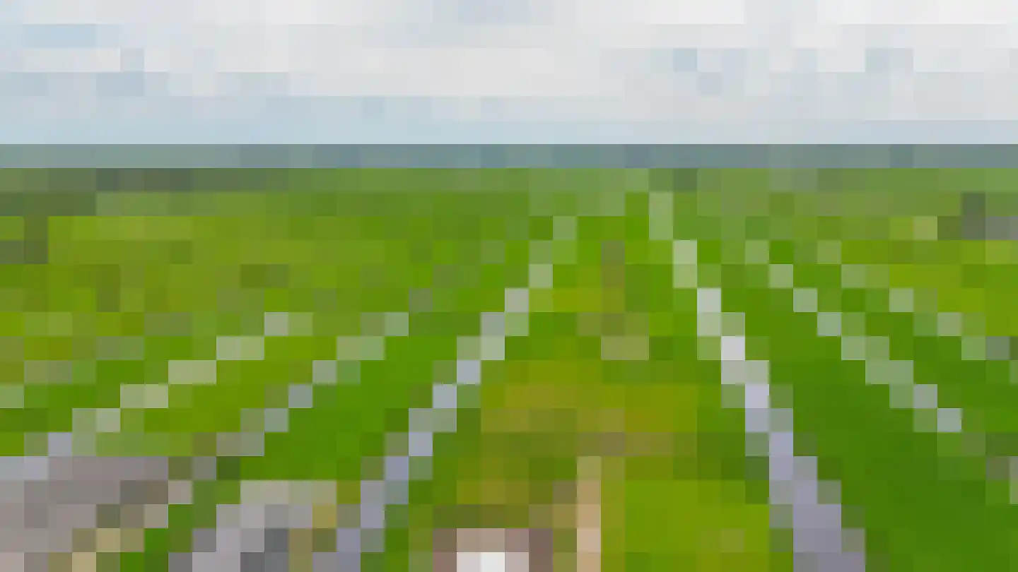 Middelblok 7 Gouderak thumbnail 48