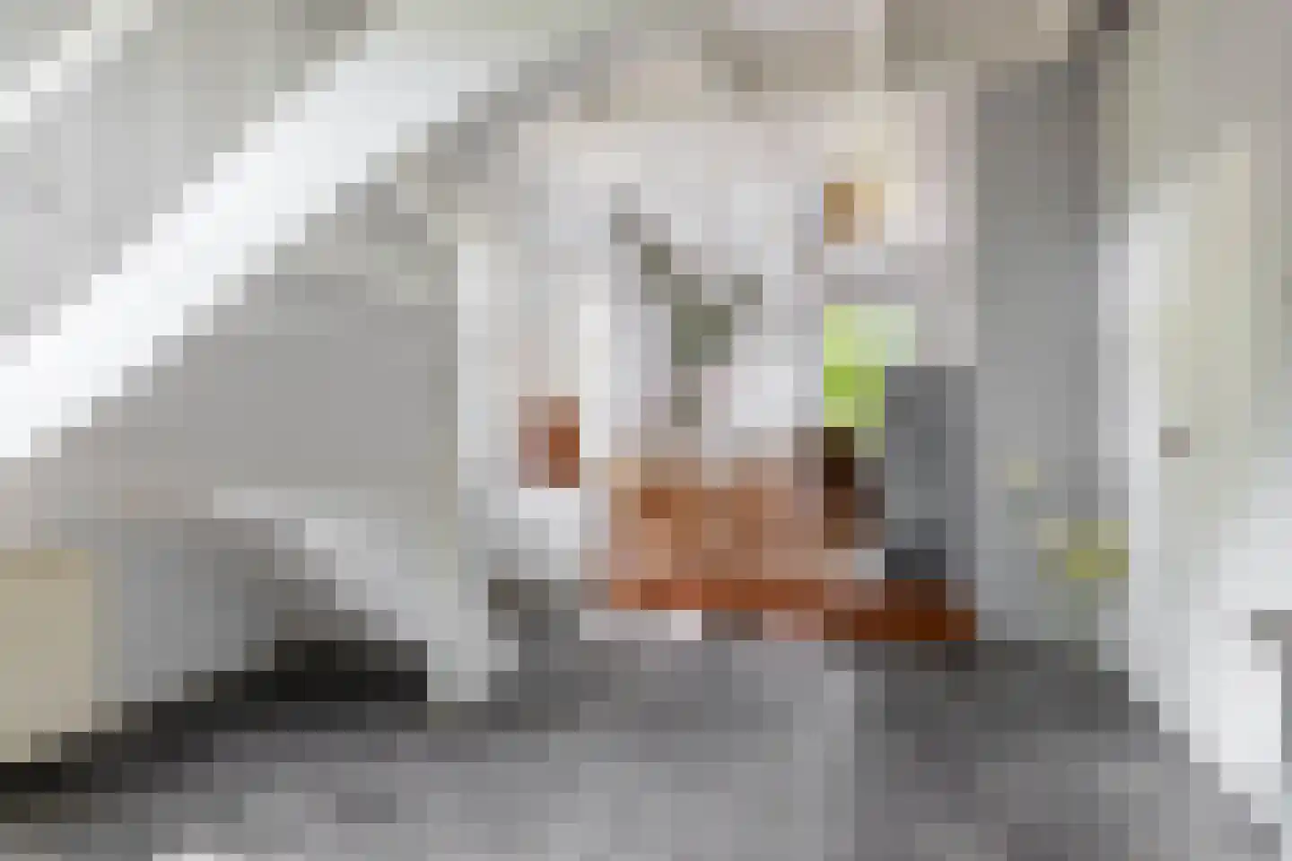 Middelblok 7 Gouderak thumbnail 6