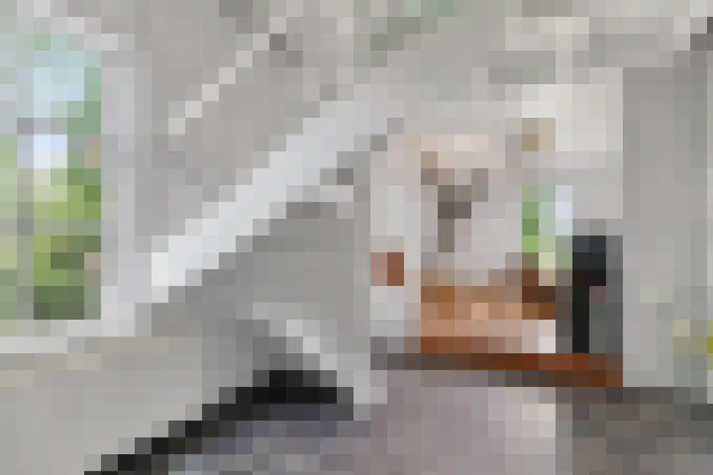 Middelblok 7 Gouderak thumbnail 65