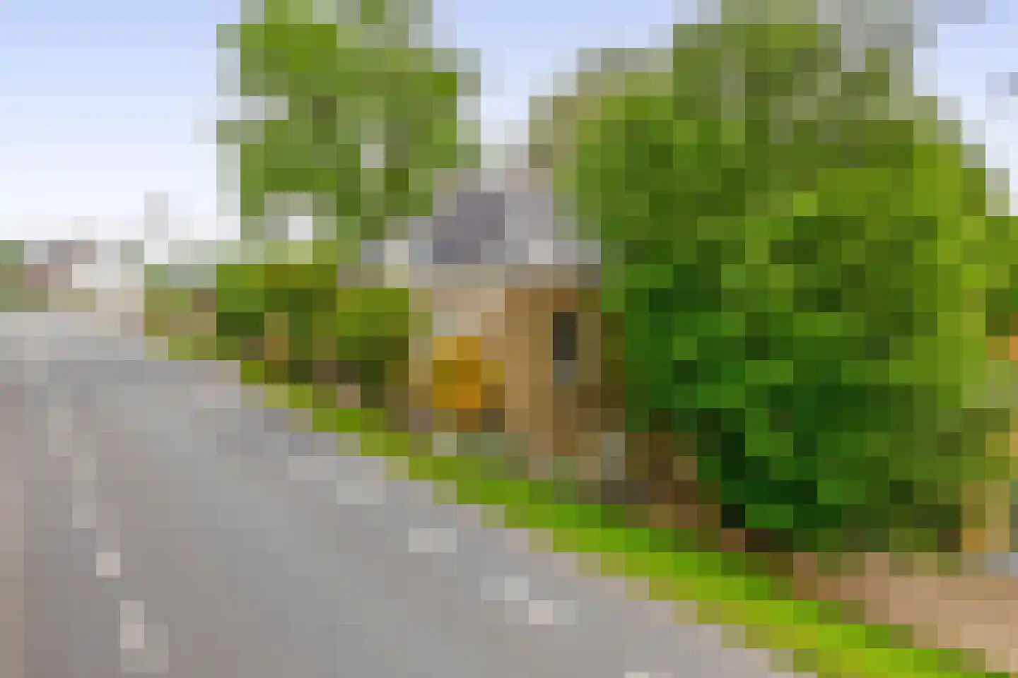 Middelblok 7 Gouderak thumbnail 7
