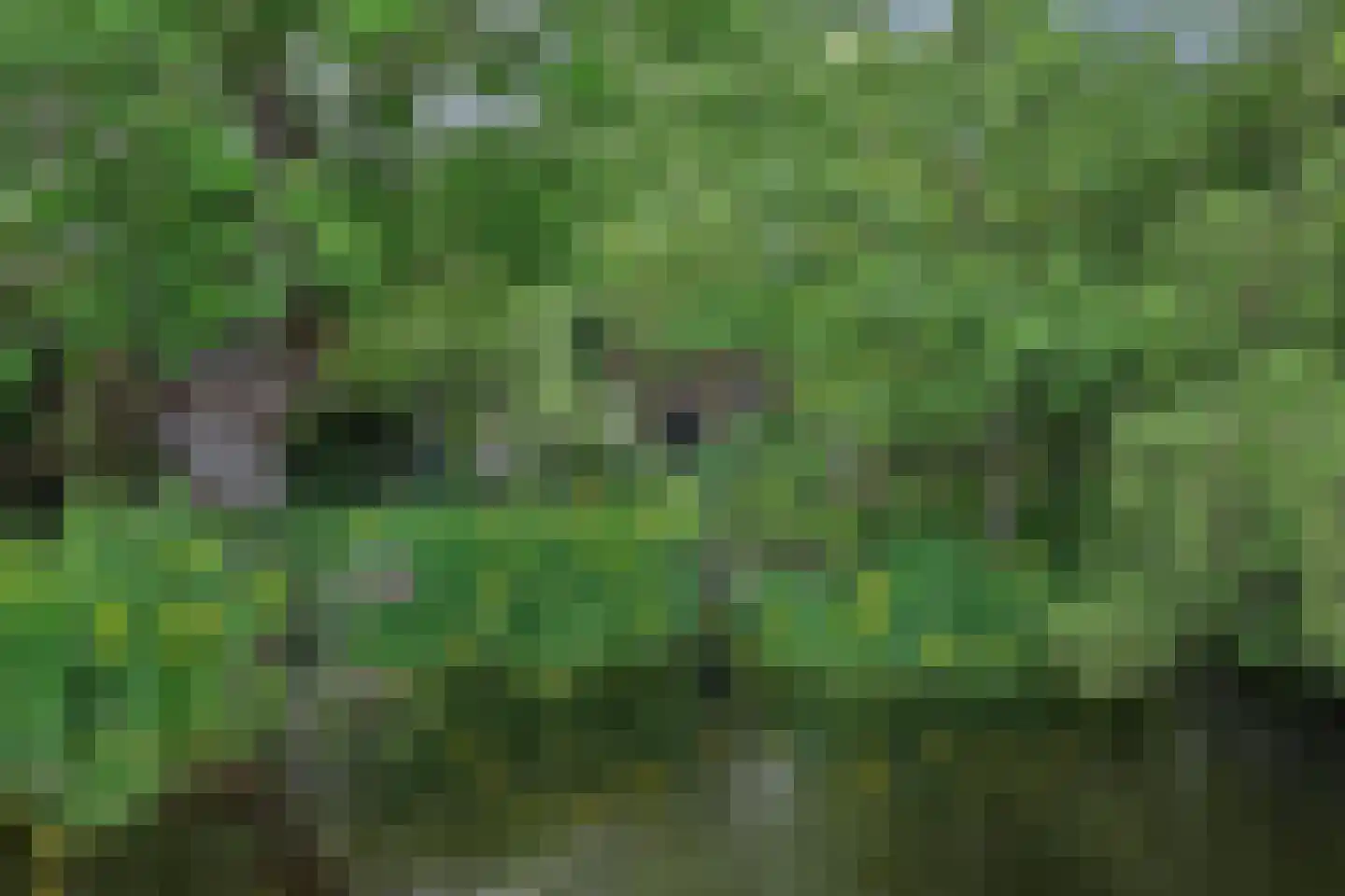 Middelblok 7 Gouderak thumbnail 84