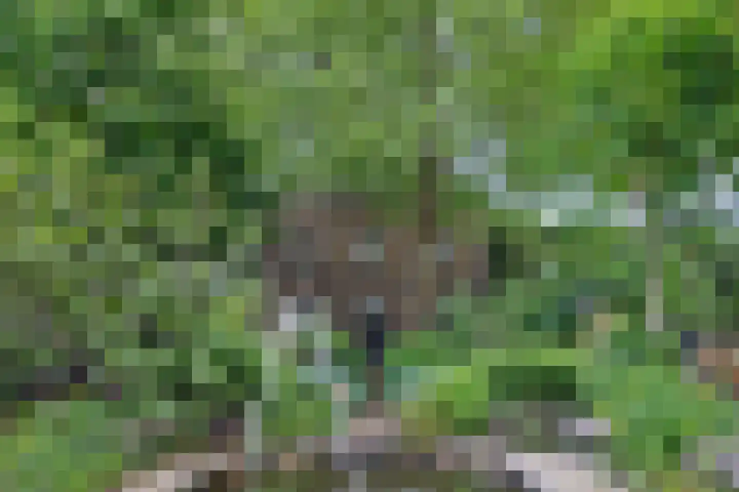 Middelblok 7 Gouderak thumbnail 85