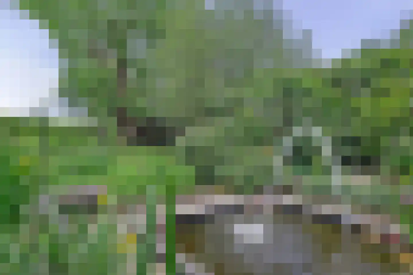 Middelblok 7 Gouderak thumbnail 86