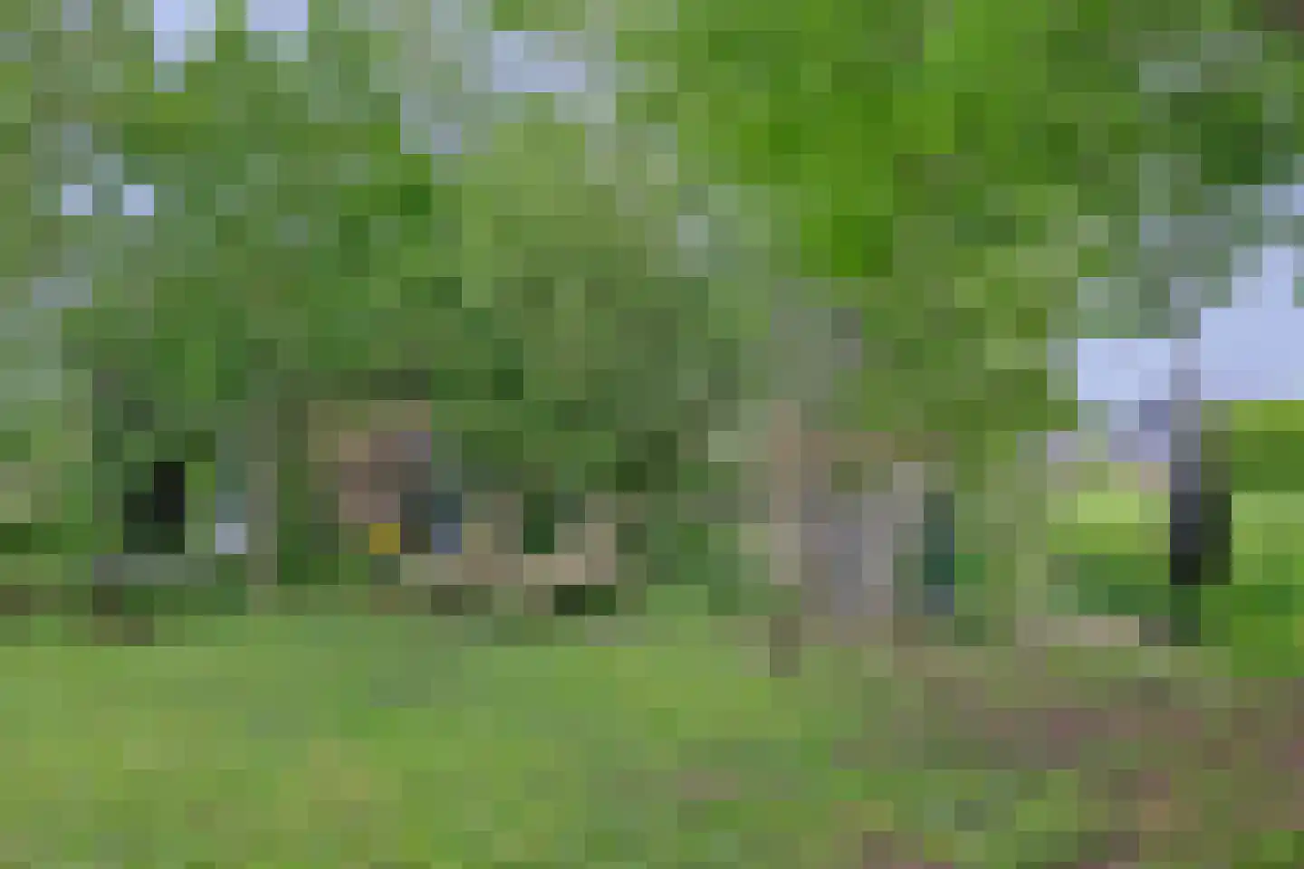Middelblok 7 Gouderak thumbnail 87