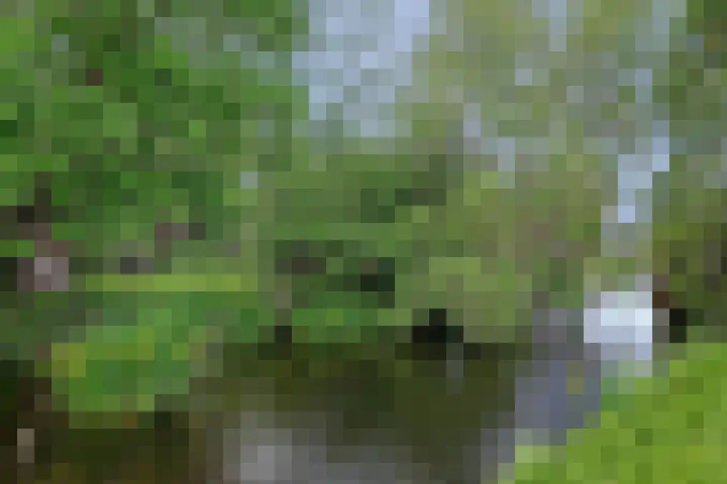Middelblok 7 Gouderak thumbnail 88