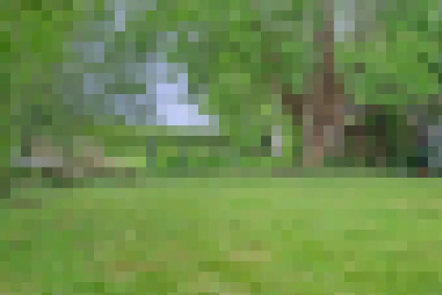 Middelblok 7 Gouderak thumbnail 89