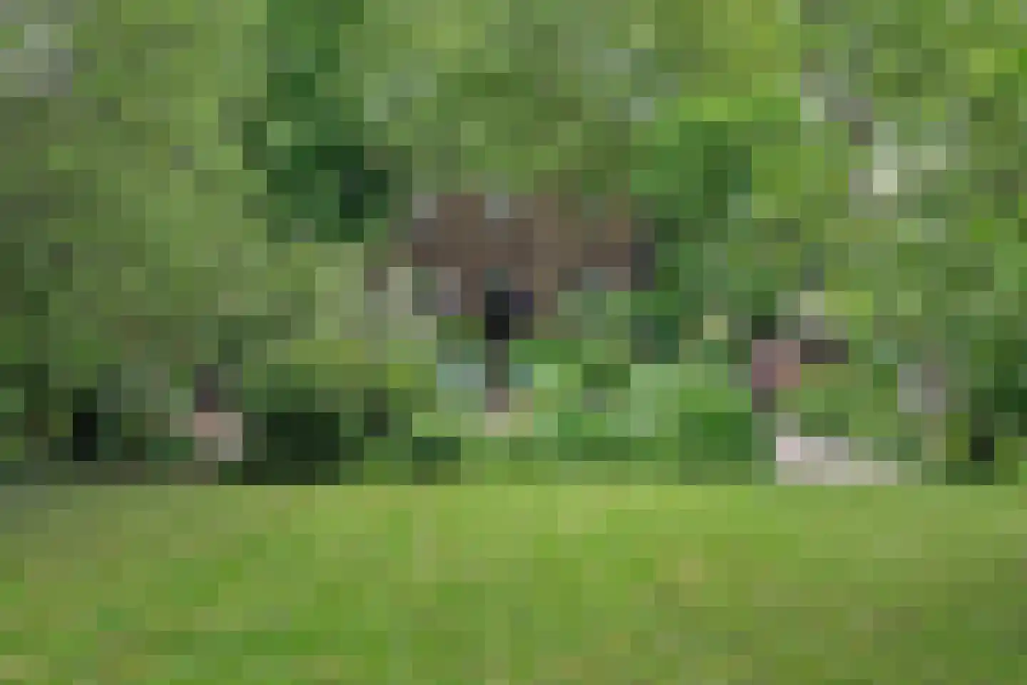 Middelblok 7 Gouderak thumbnail 95