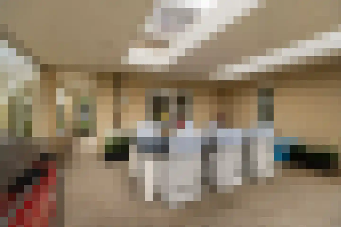 Middelblok 77 Gouderak thumbnail 10