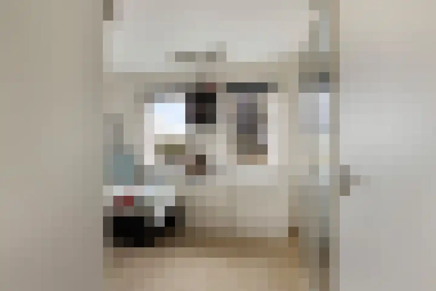 Middelblok 77 Gouderak thumbnail 21