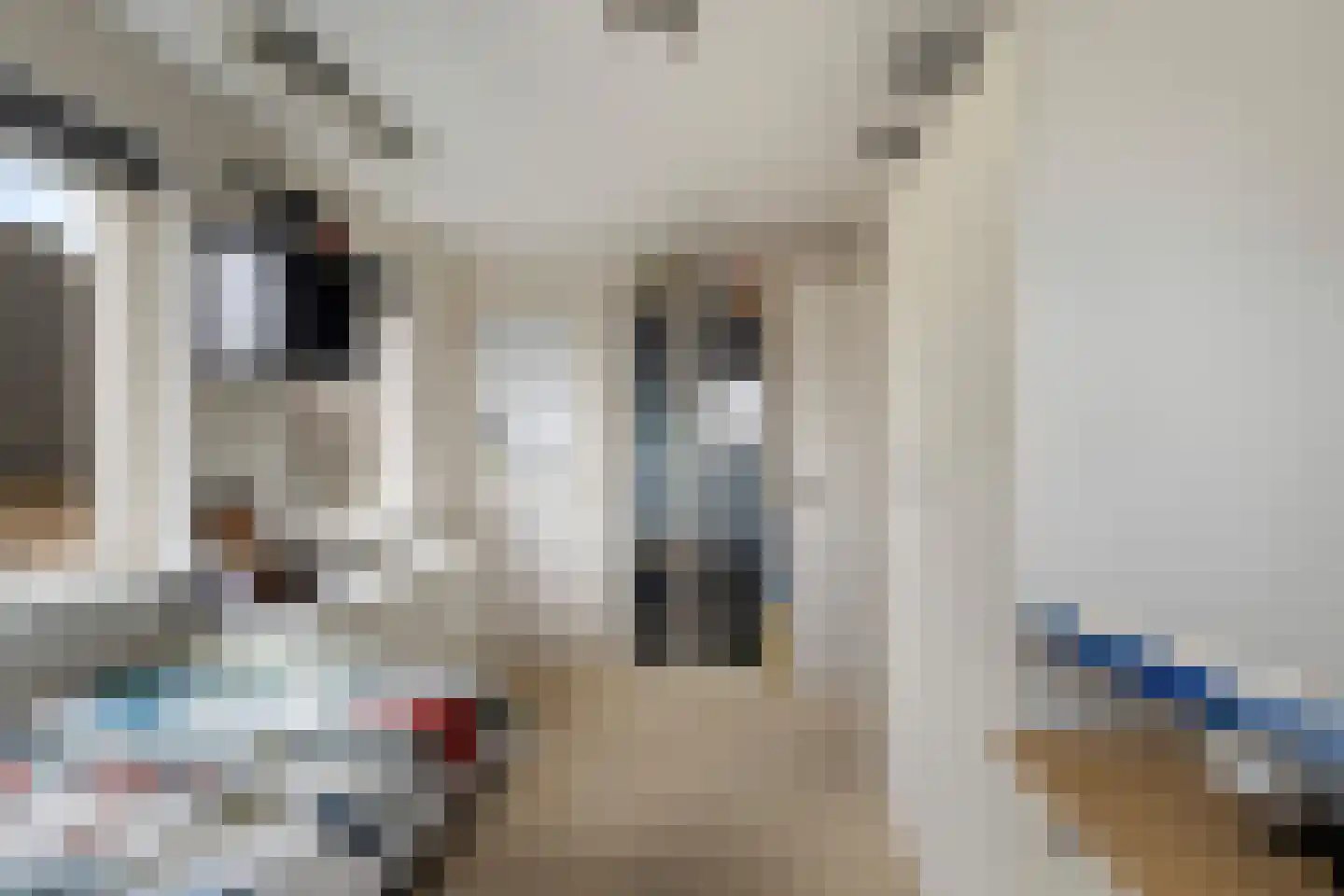 Middelblok 77 Gouderak thumbnail 23