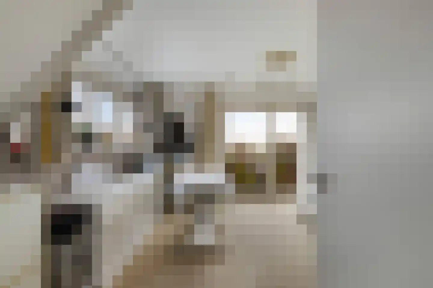 Middelblok 77 Gouderak thumbnail 24