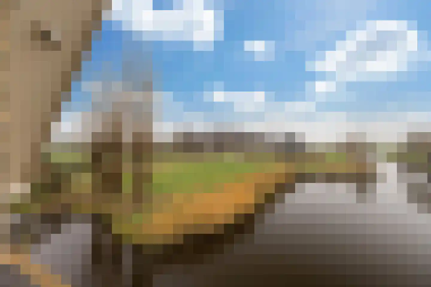 Middelblok 77 Gouderak thumbnail 26
