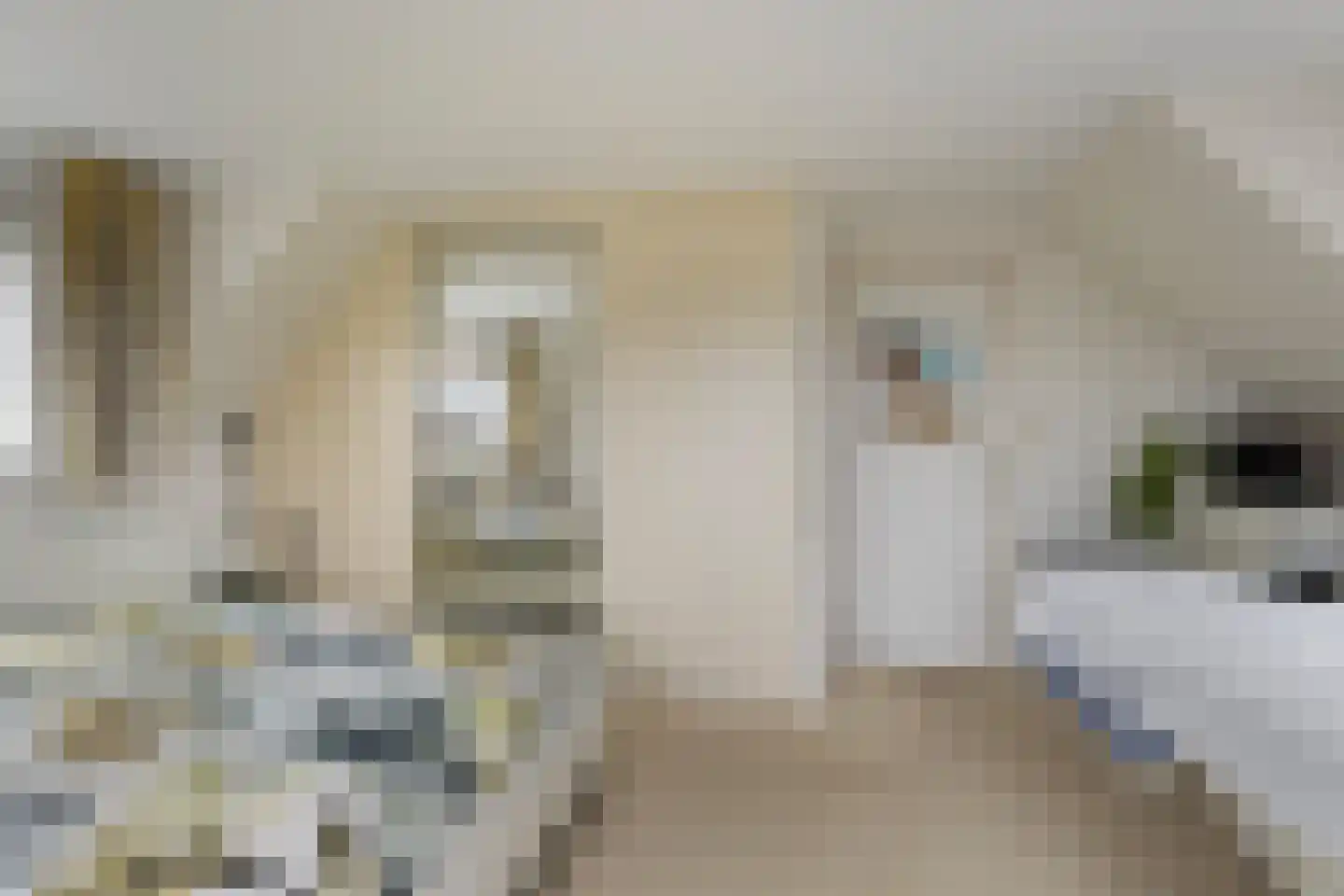 Middelblok 77 Gouderak thumbnail 29