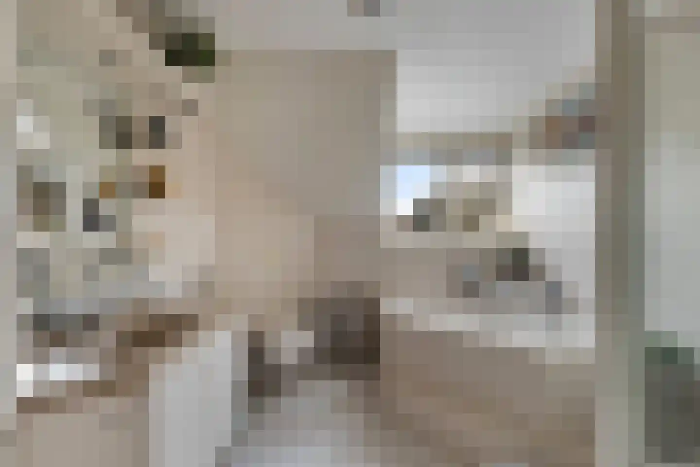 Middelblok 77 Gouderak thumbnail 33