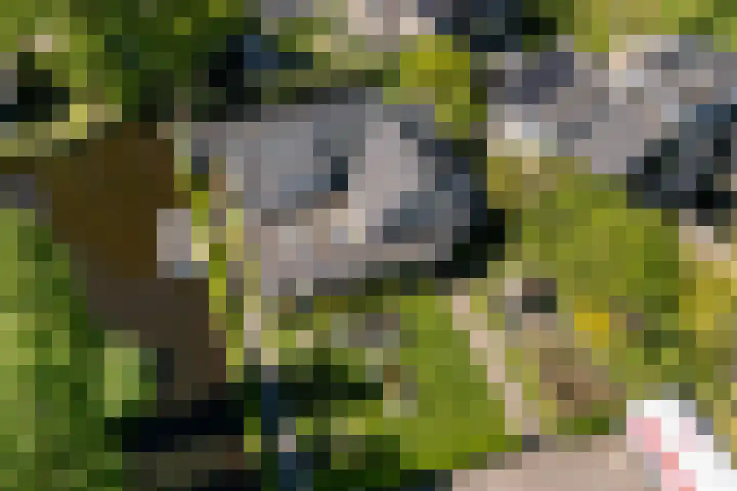 Middelblok 77 Gouderak thumbnail 42
