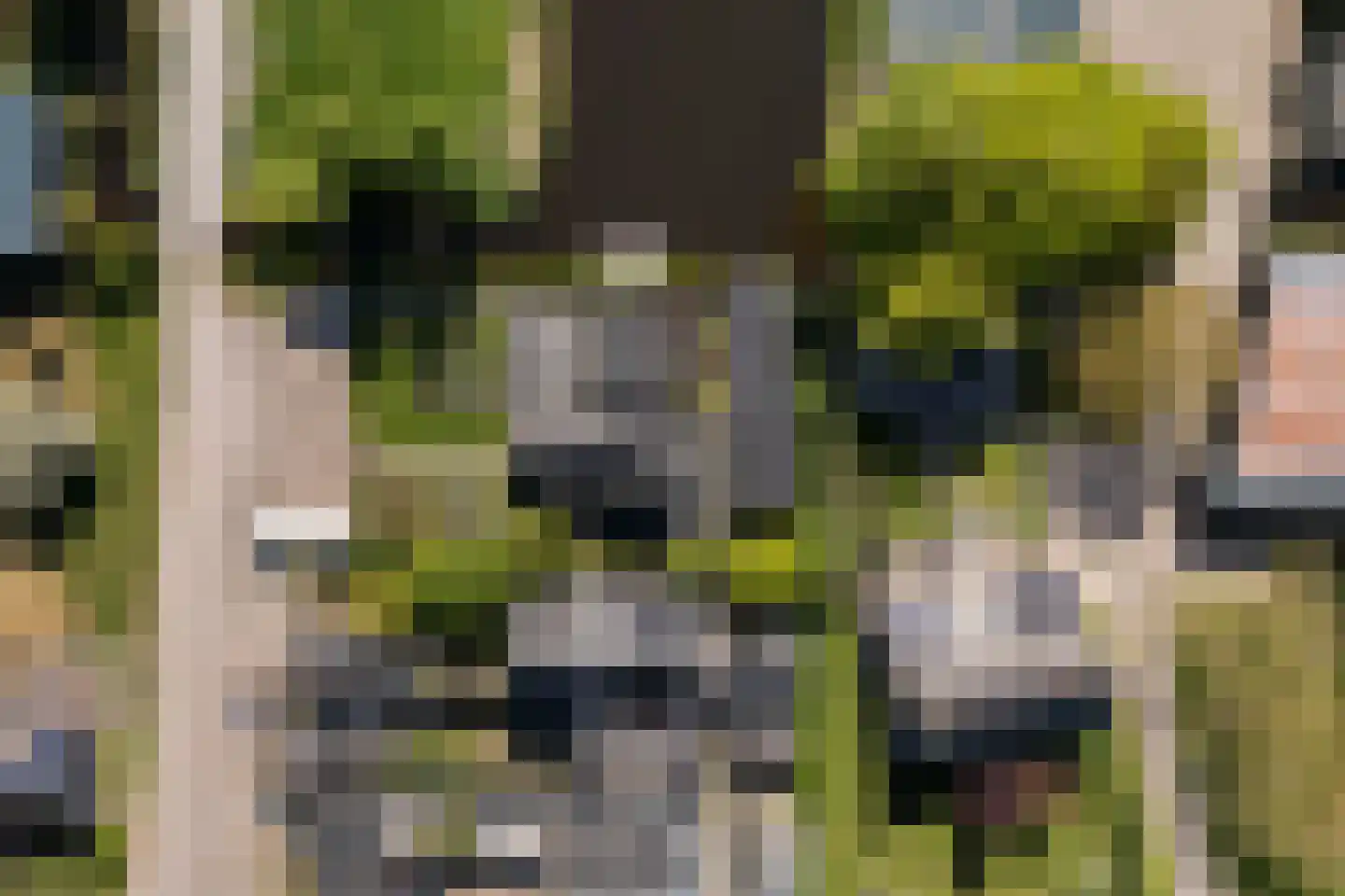 Middelblok 77 Gouderak thumbnail 43