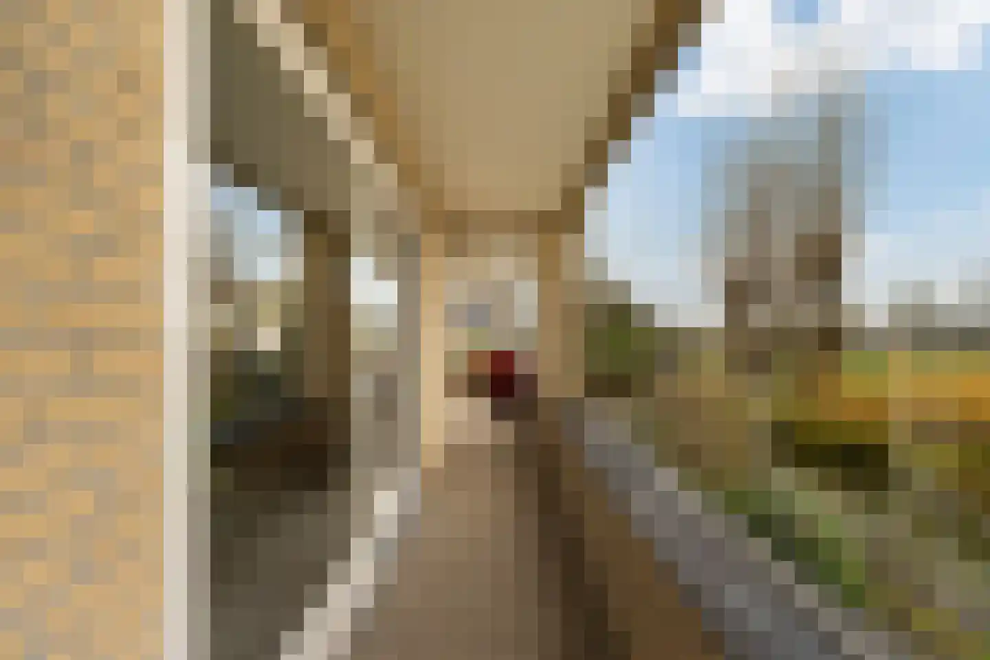 Middelblok 77 Gouderak thumbnail 8