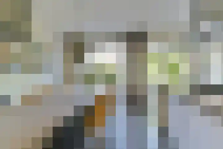 Middelbroek 3 Leusden thumbnail 11
